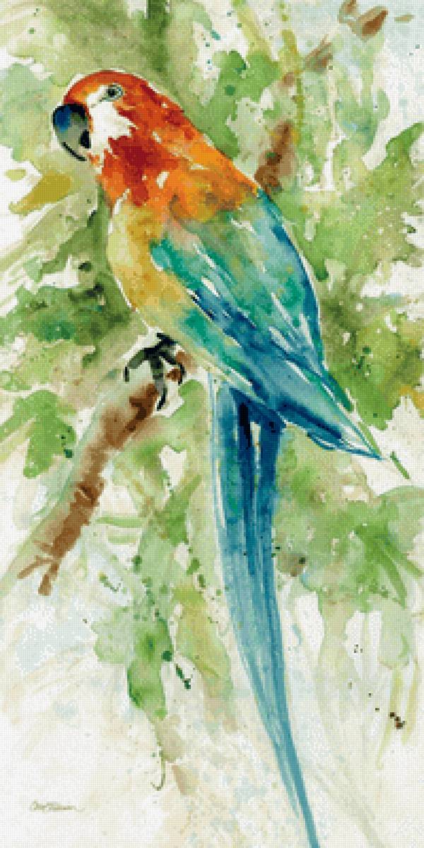 Попугай. Акварель - художники - предпросмотр