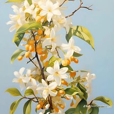 Схема вышивки «Bông»