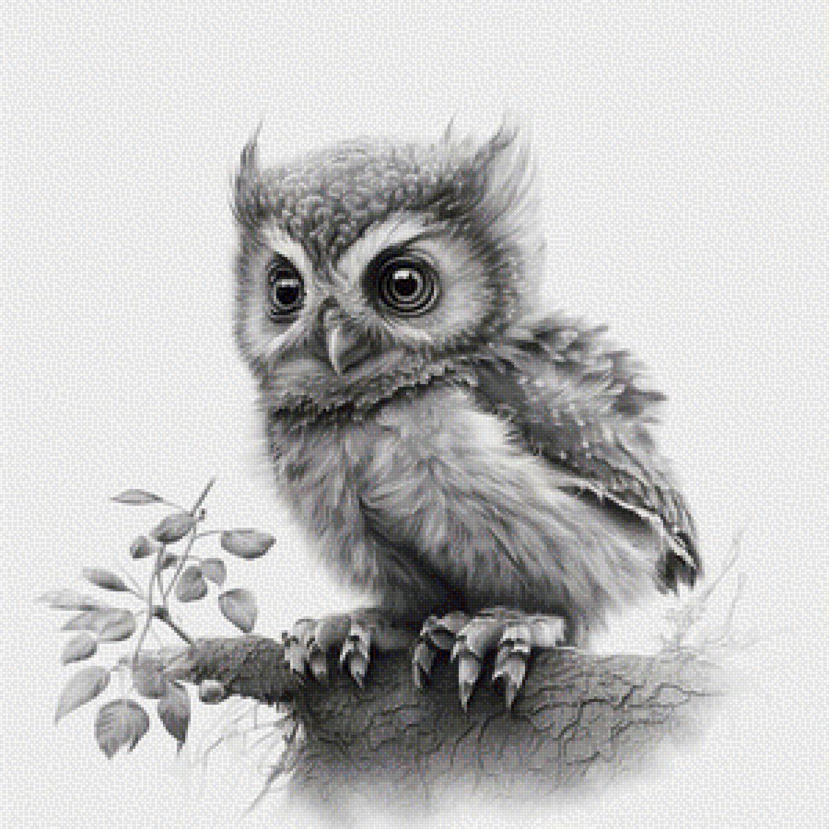 Совёнок - птица, сова, совенок - предпросмотр