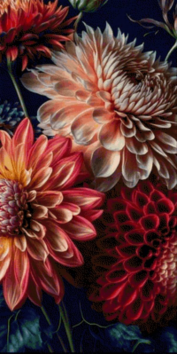 Георгины - георгины, букет - предпросмотр