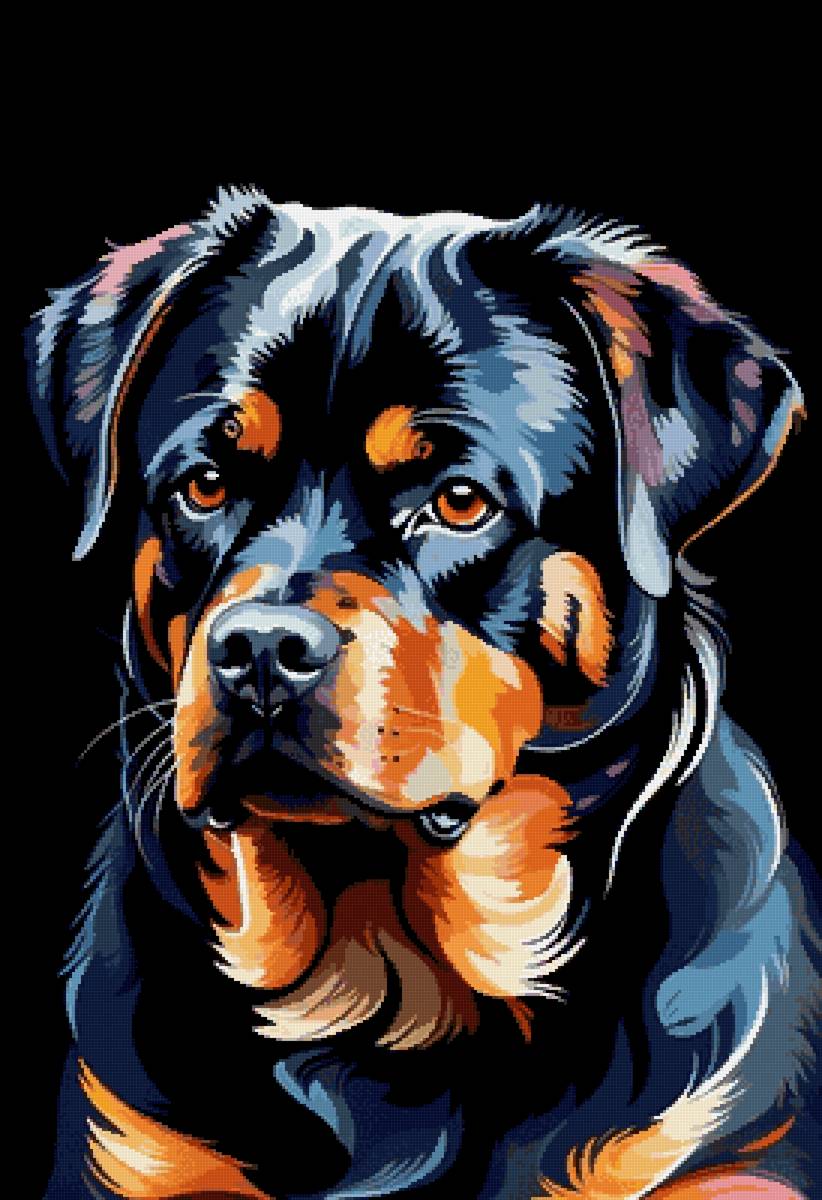 Ротти - собака, животные, собаки, ротвейлер - предпросмотр