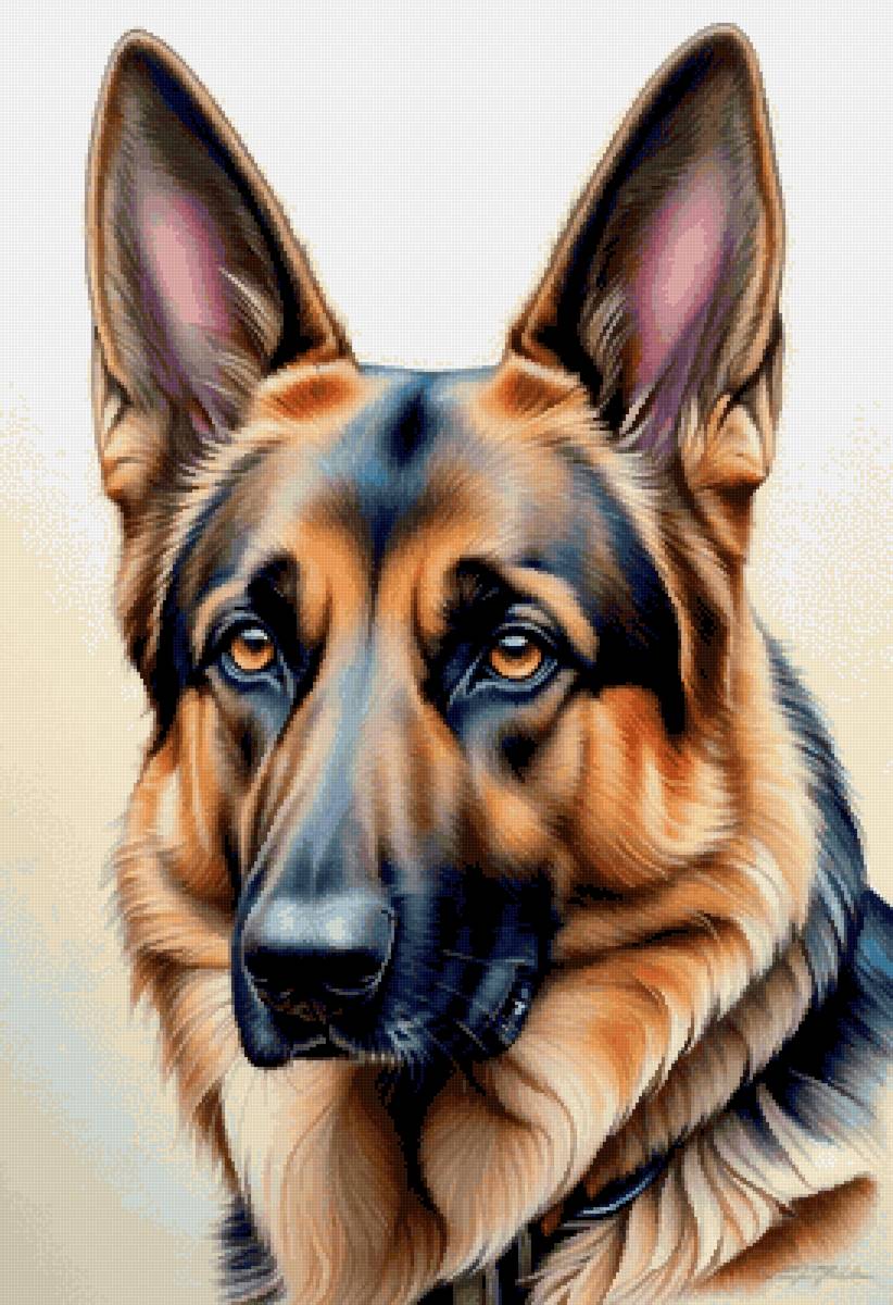 Немецкая овчарка - немецкая овчарка, собака, собаки, животные - предпросмотр