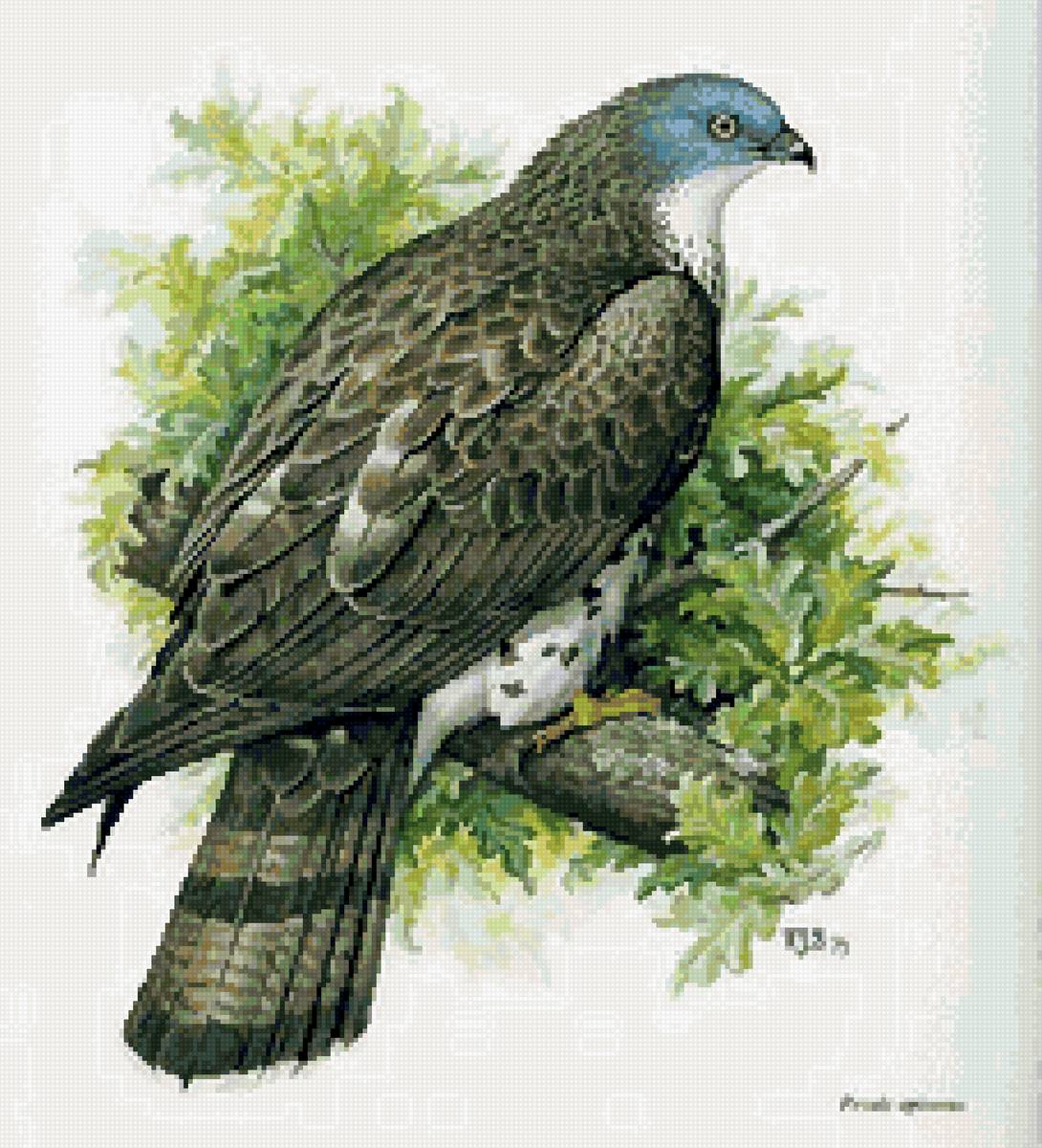 №2741769 - птицы - предпросмотр