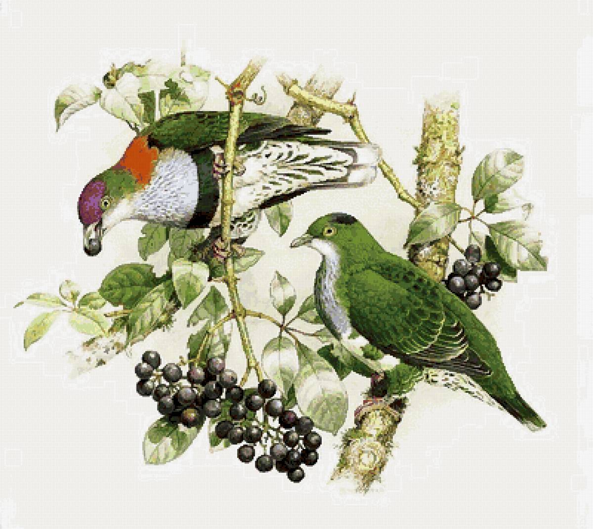 №2741839 - птицы - предпросмотр