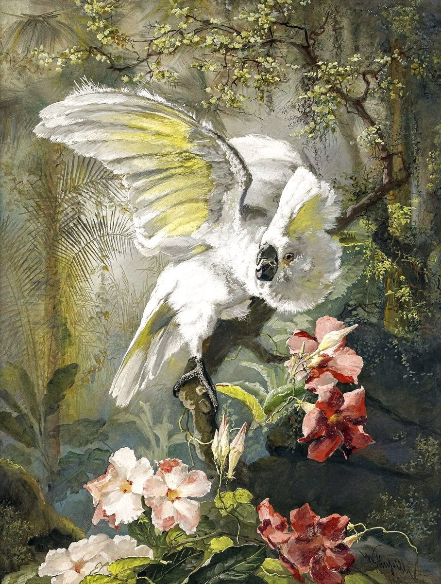 №2741887 - попугай, птицы - оригинал