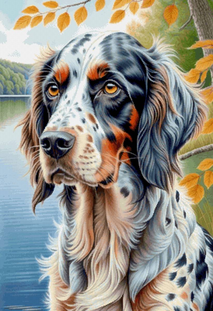 Английский сеттер - собака, собаки, животные - предпросмотр