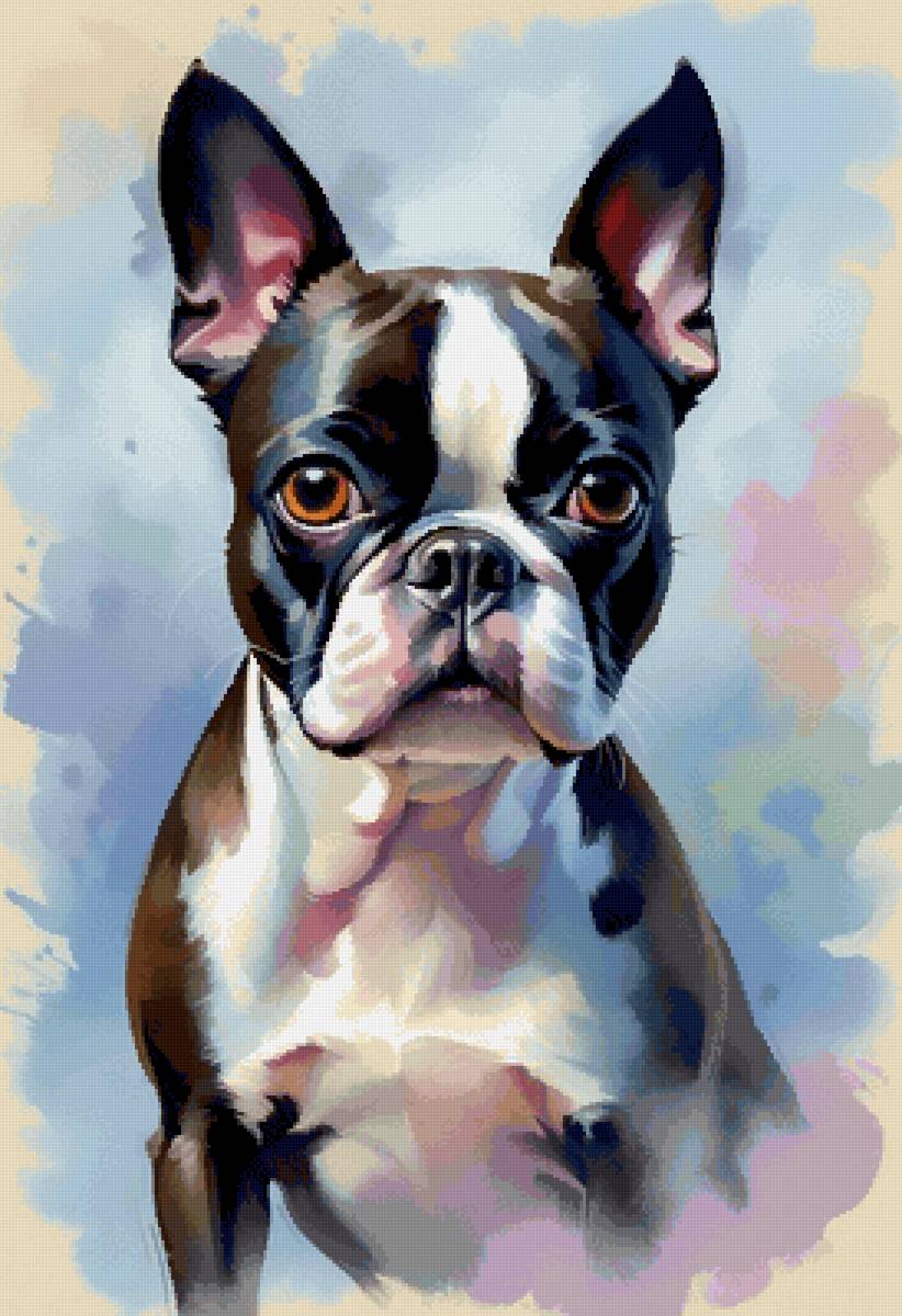 Бостон терьер - животные, собаки, собака - предпросмотр