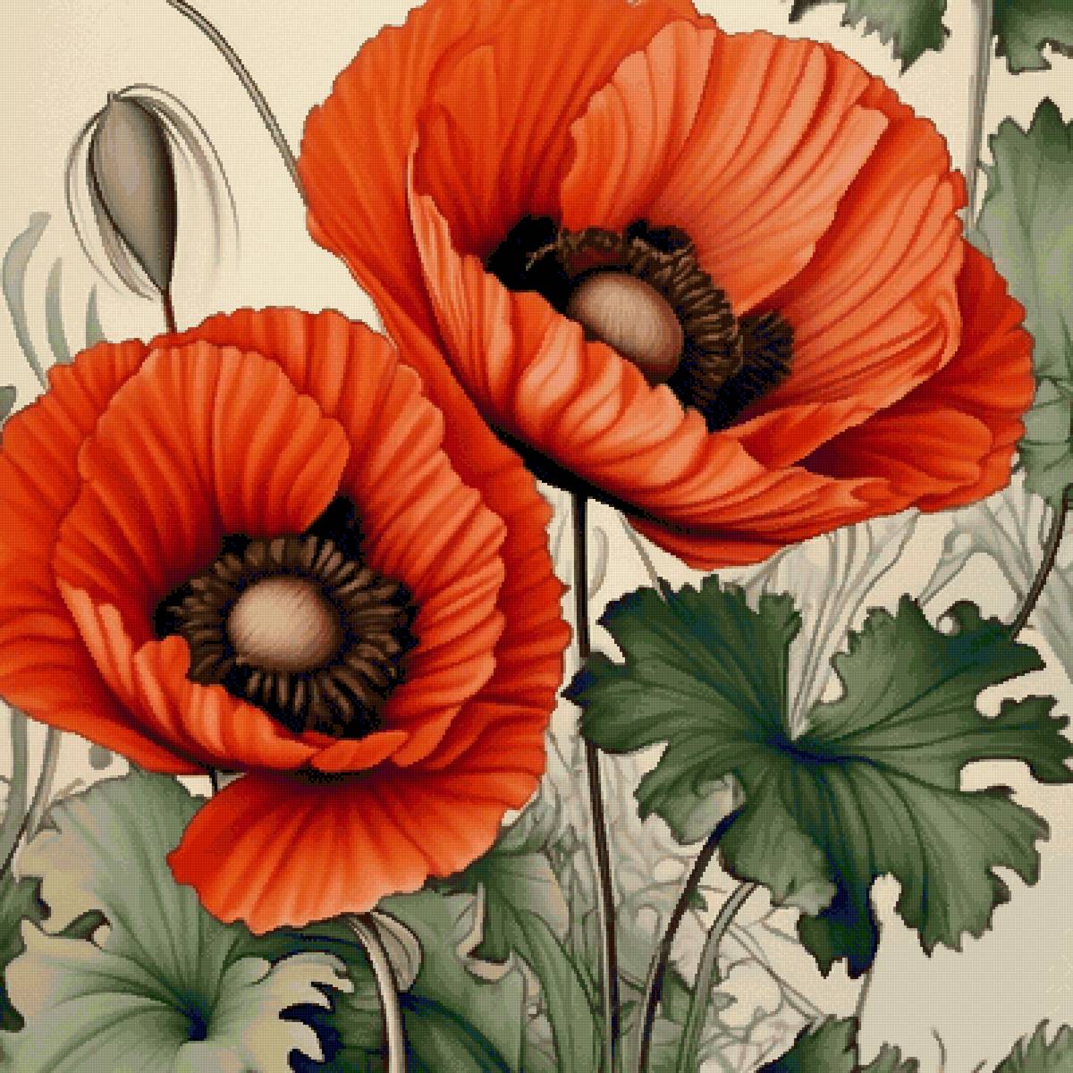 Красные маки - цветы - предпросмотр