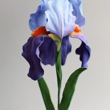 Схема вышивки «ирис»