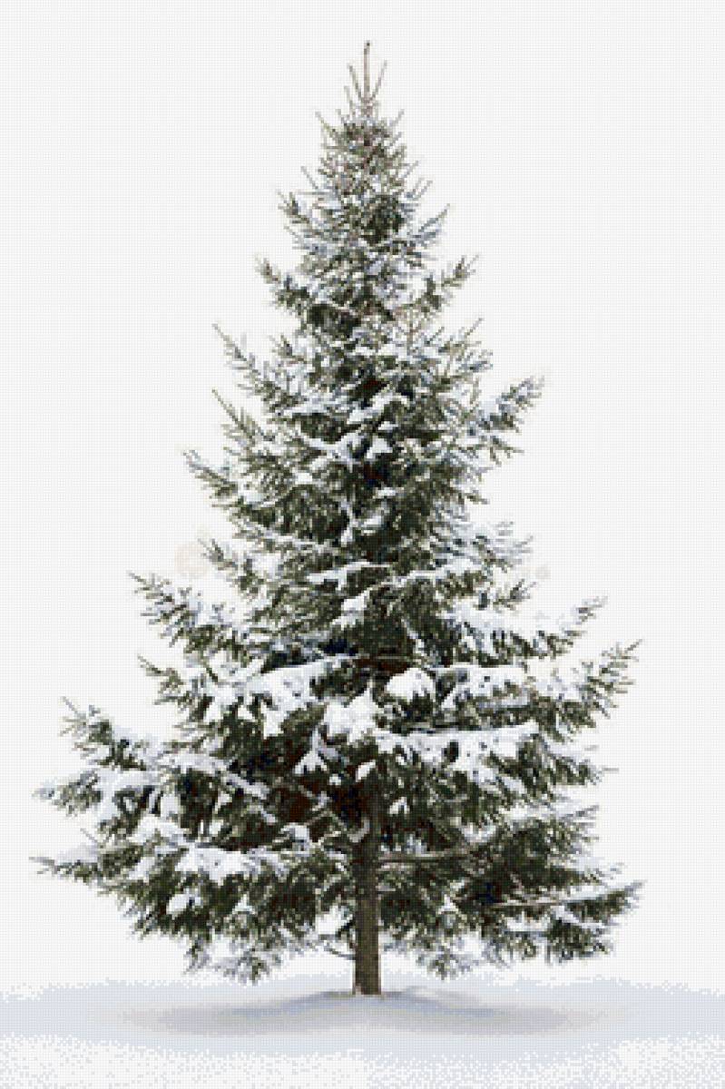 Ёлочка - елочка - предпросмотр