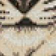 Предпросмотр схемы вышивки «Тигр в городе» (№2743418)
