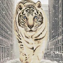 Оригинал схемы вышивки «Тигр в городе» (№2743418)