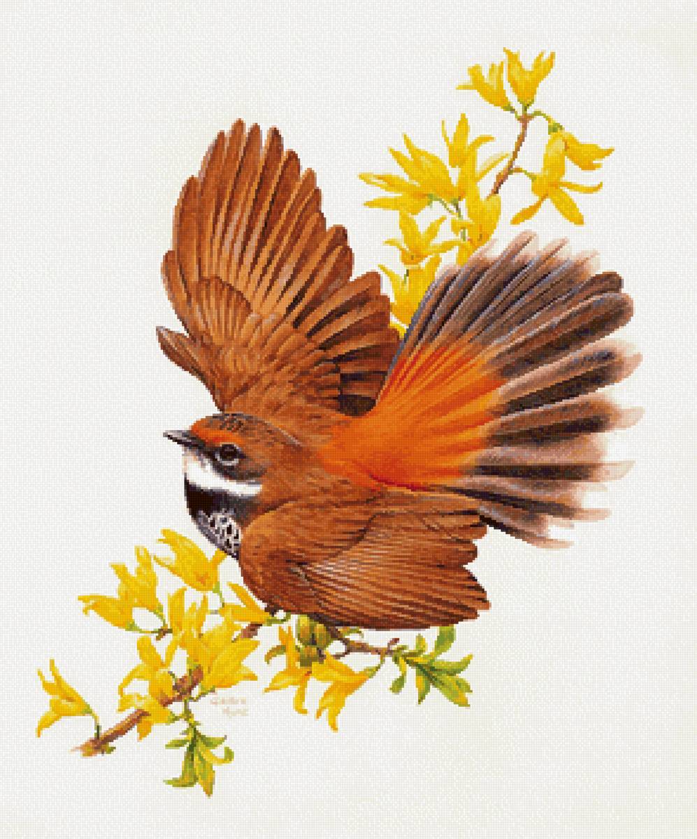 №2743975 - птичка - предпросмотр