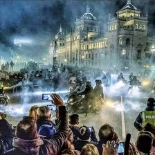 Схема вышивки «Pingüino»