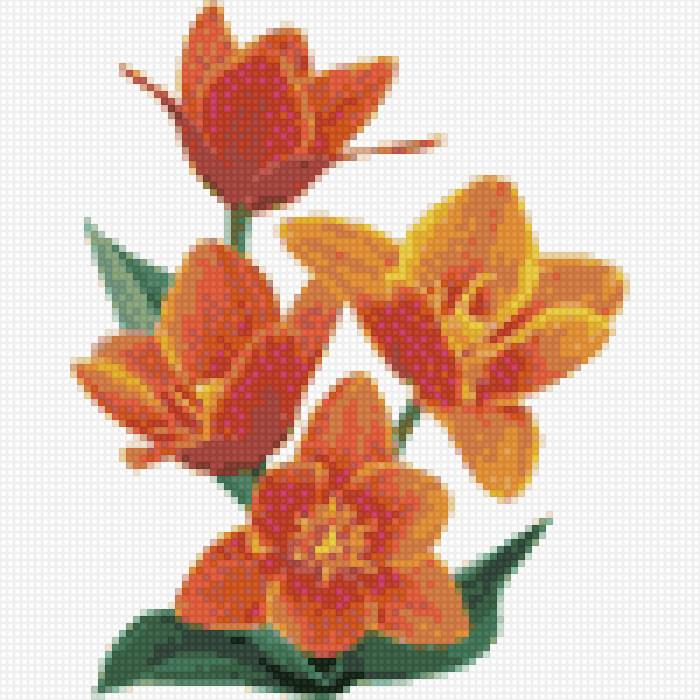 Тюльпаны - тюльпаны - предпросмотр