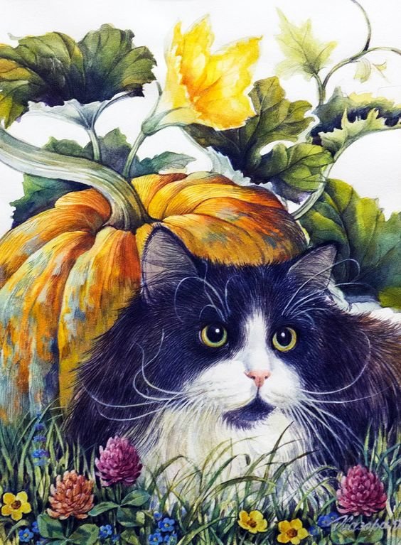 кот - коты - оригинал