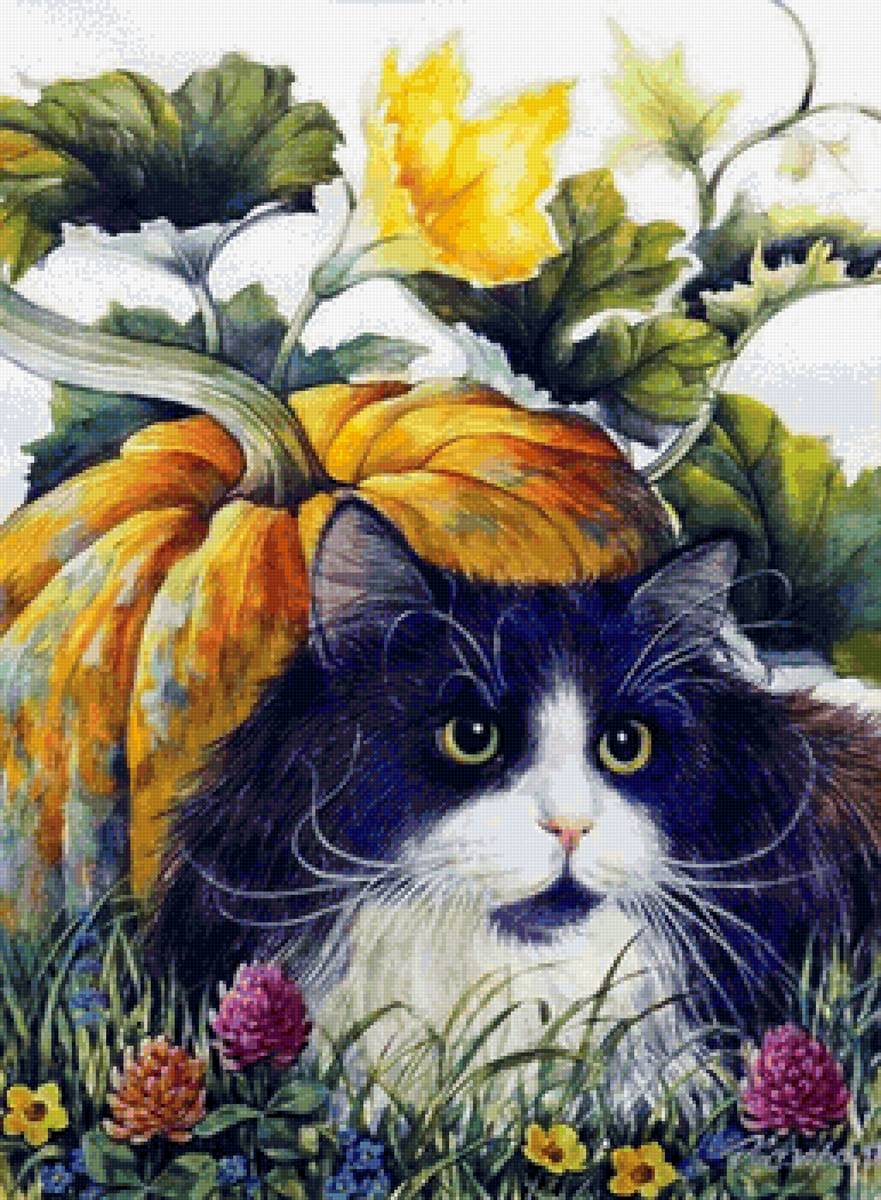 кот - коты - предпросмотр