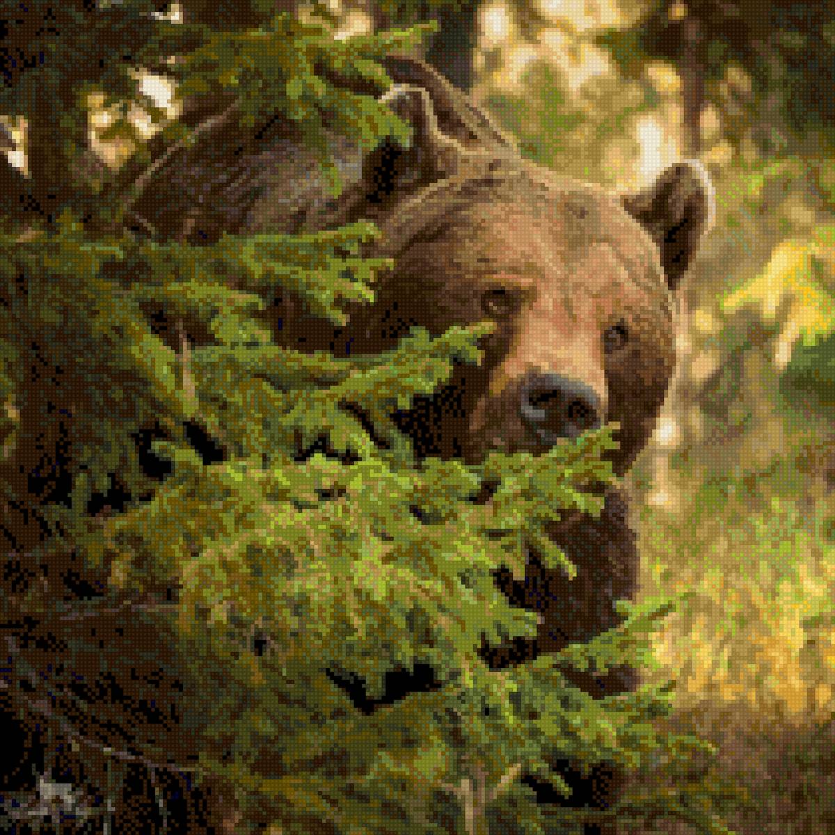 Медведь - медведь - предпросмотр