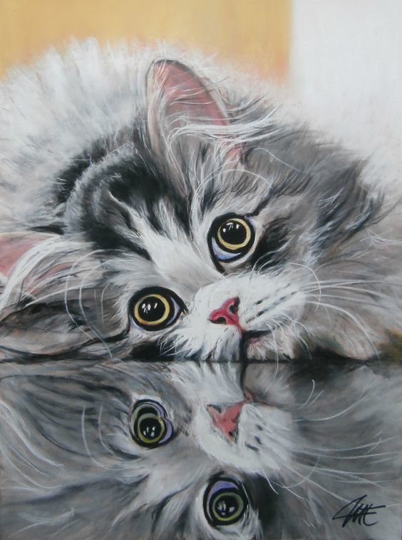 котенок - отражение - оригинал