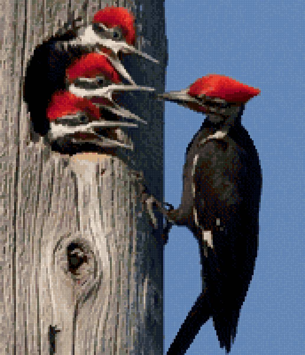 Дятел - птица, дятел - предпросмотр