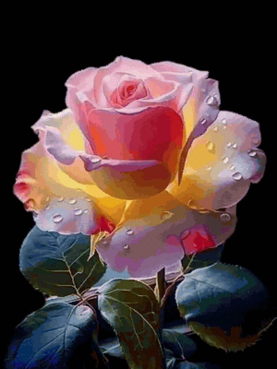 Роза - роза - предпросмотр