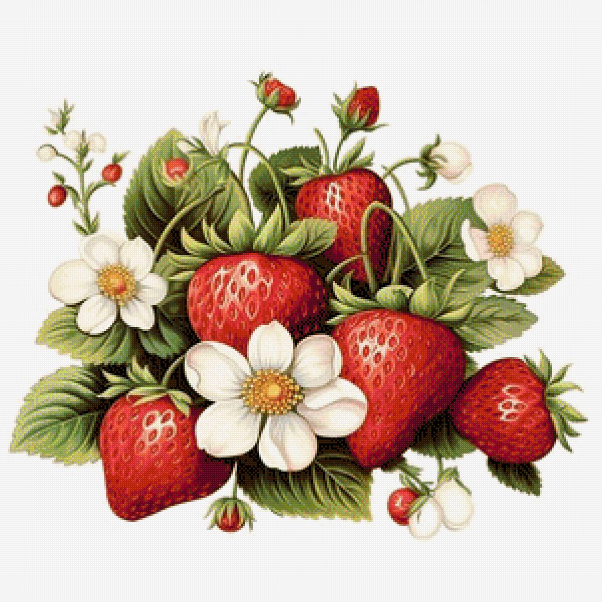 Клубника - клубника, ягоды - предпросмотр