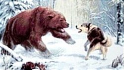 Охота на медведя - зима, охота, собака, медведь - оригинал