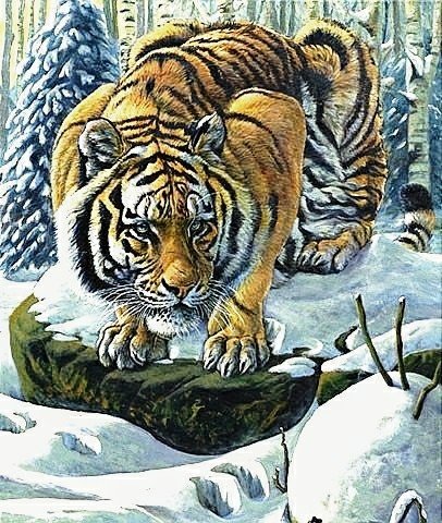 №2747784 - тигр, животные - оригинал