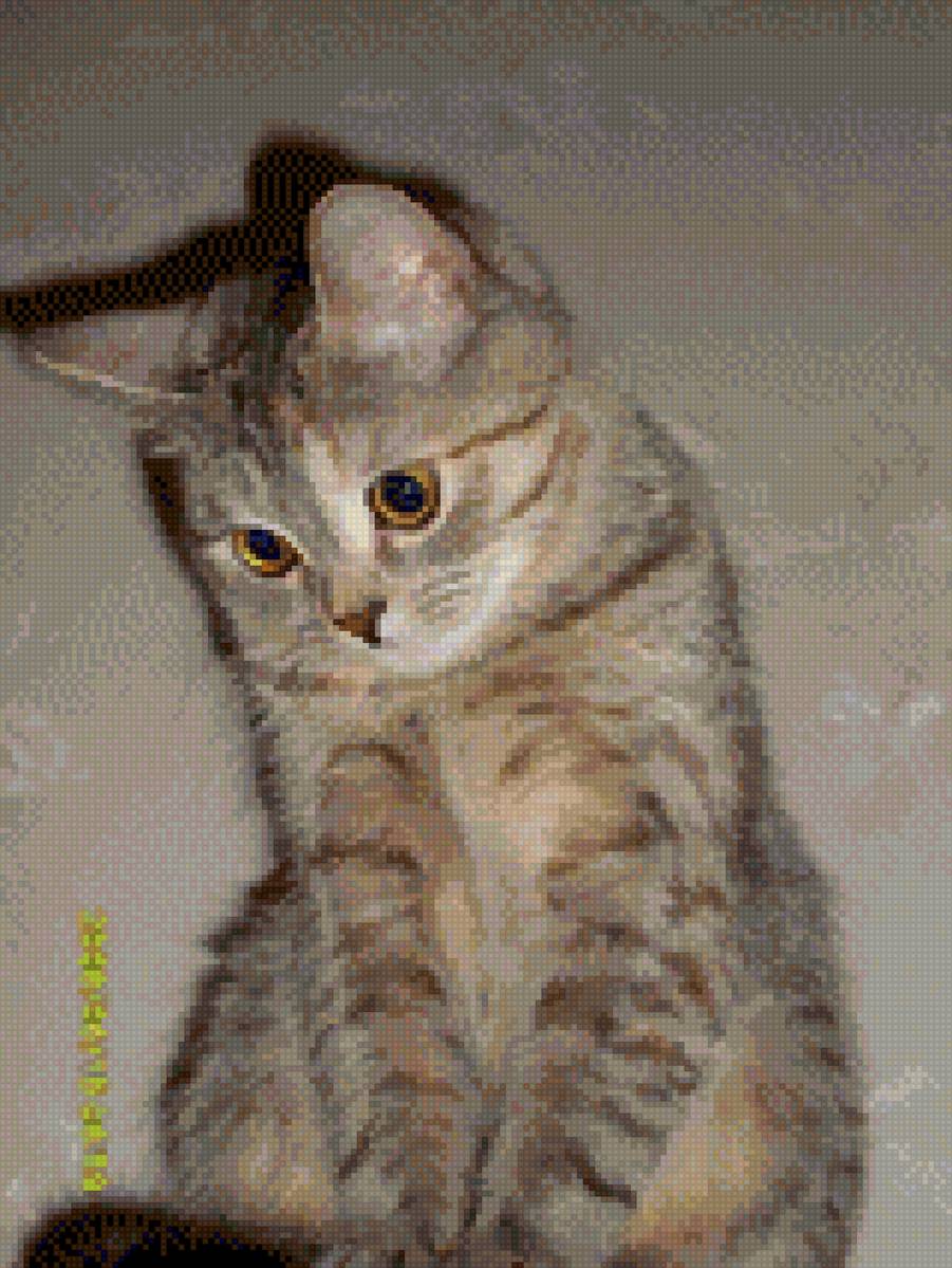 БЕТТИ-3 - кошка - предпросмотр