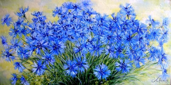 васильки букет - оригинал