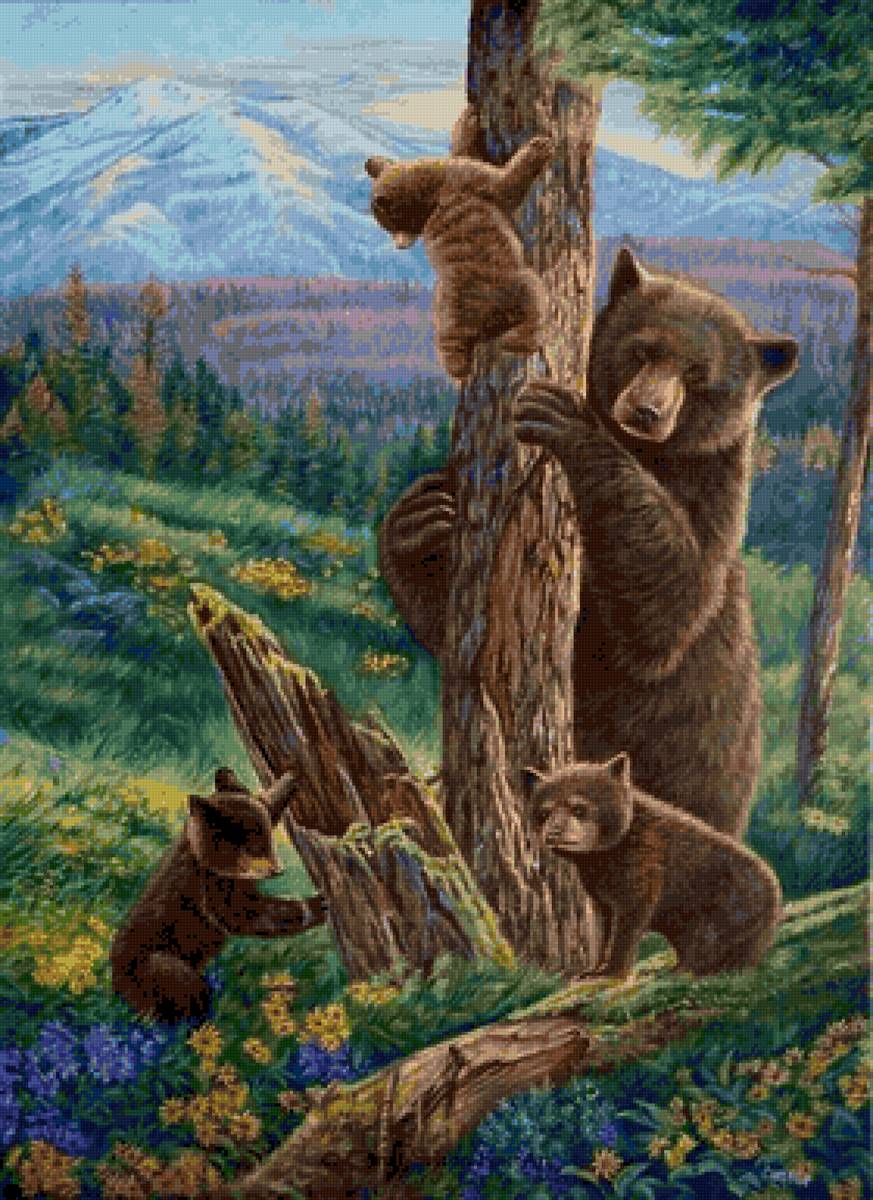 Медведи - лес, медведи - предпросмотр