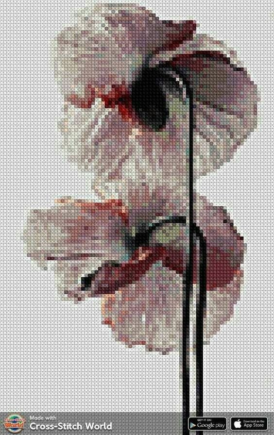 цветы - нежные, пастель, цветы - оригинал