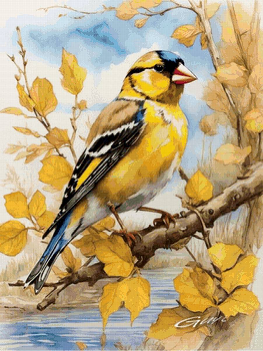 птица - птицы - предпросмотр