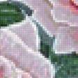 Предпросмотр схемы вышивки «розы» (№2748525)