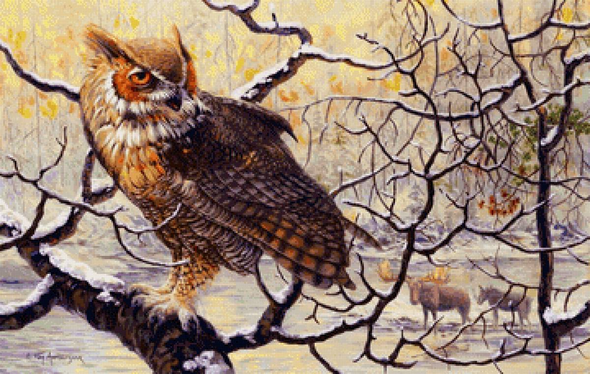 №2749274 - природа, филин - предпросмотр