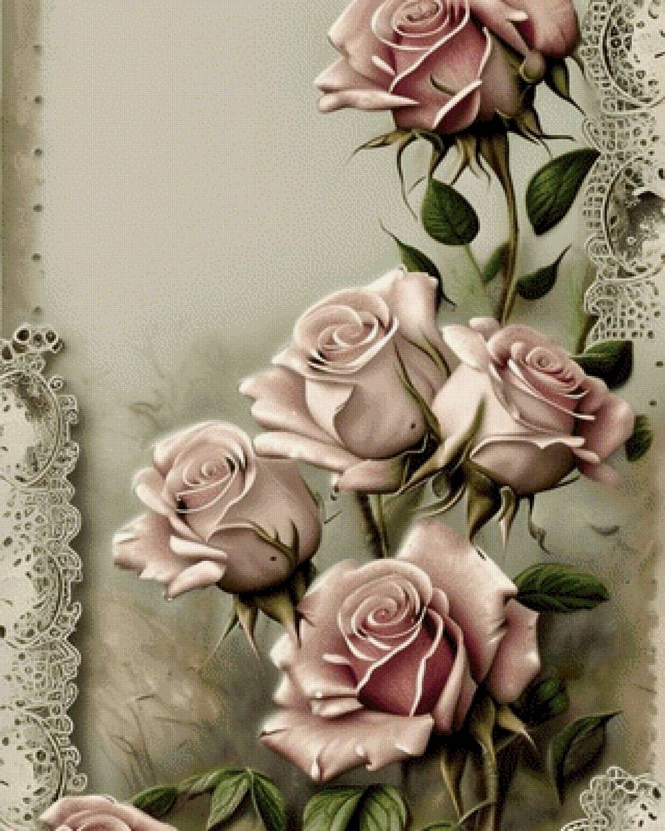 Розы - розы - предпросмотр