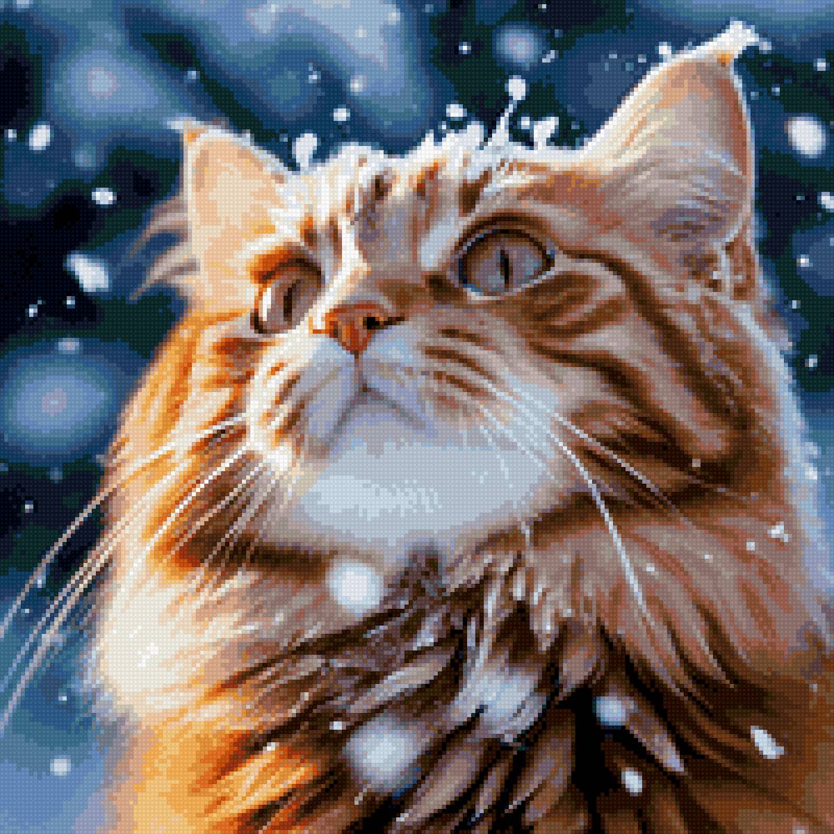 КОТЯ - кот - предпросмотр