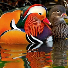 Схема вышивки «№2749681»