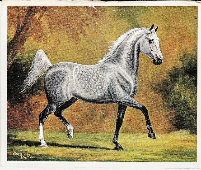 №2749896 - конь, животные - оригинал
