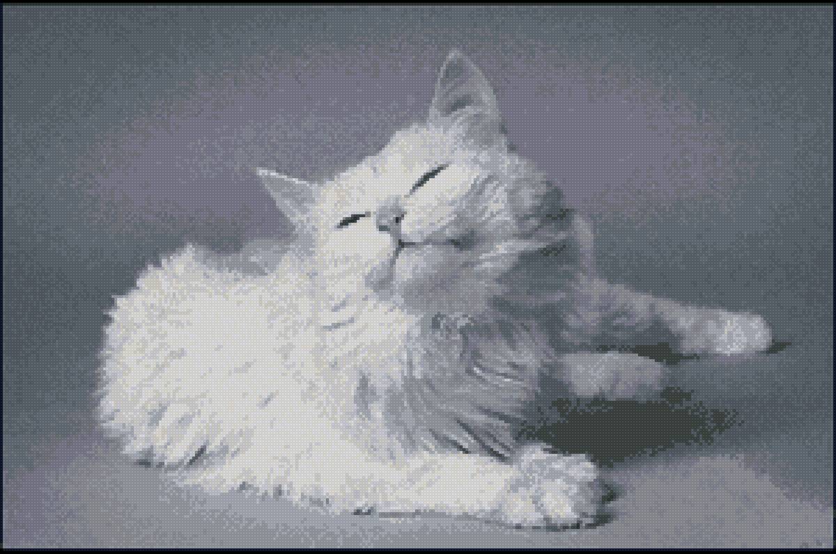 Кошка - белая кошка - предпросмотр