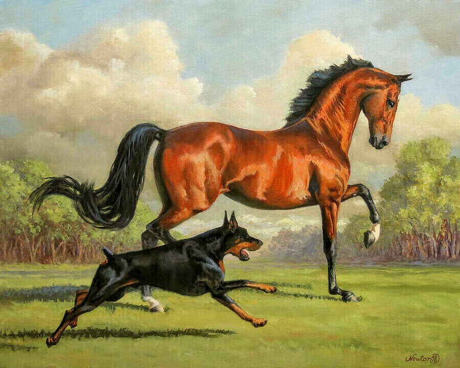 №2750118 - конь, собака, животные - оригинал