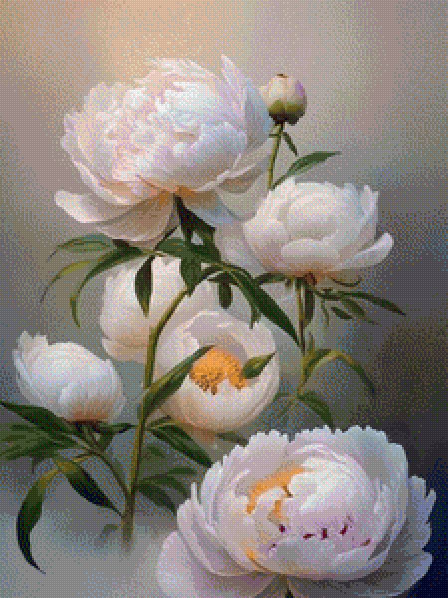 Bujori - flori - предпросмотр