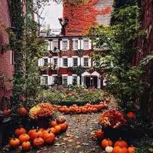 Схема вышивки «Осень»