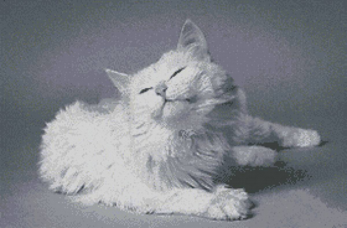 Белая кошка - кошка - предпросмотр