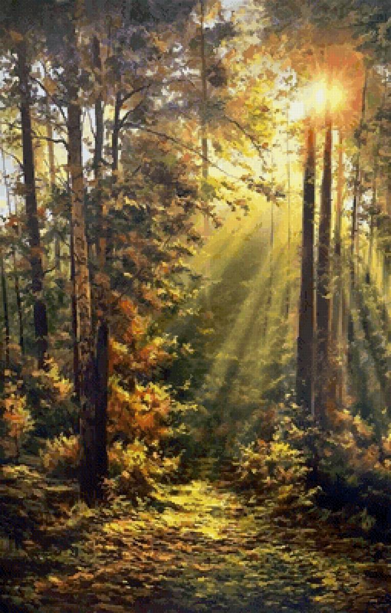 Волшебные лучи - солнце, лес, осень - предпросмотр