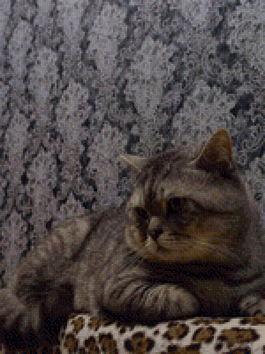 Симба - предпросмотр