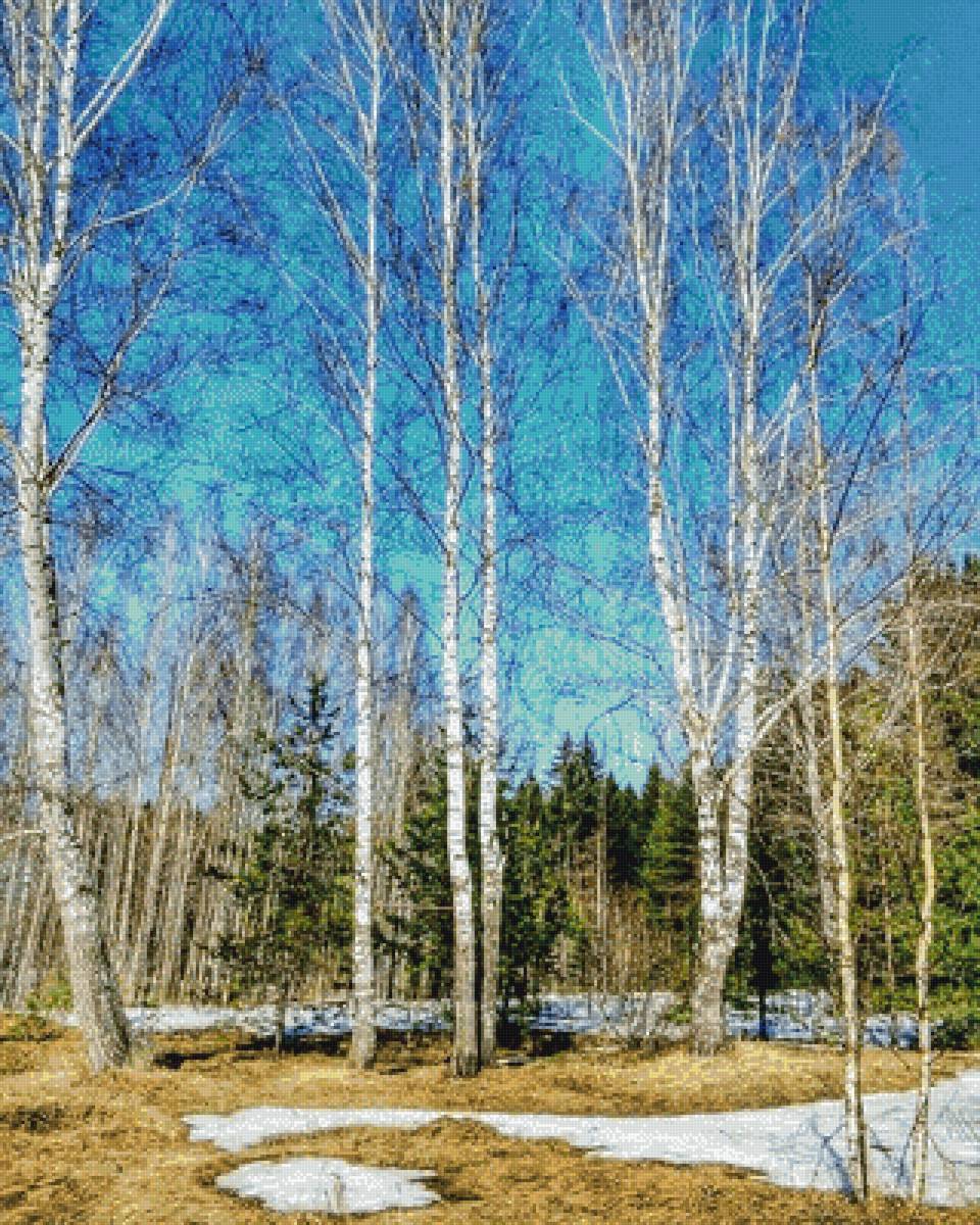 Весна - пейзаж, весна, деревья, небо - предпросмотр