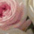 Предпросмотр схемы вышивки «белые розы» (№2754655)