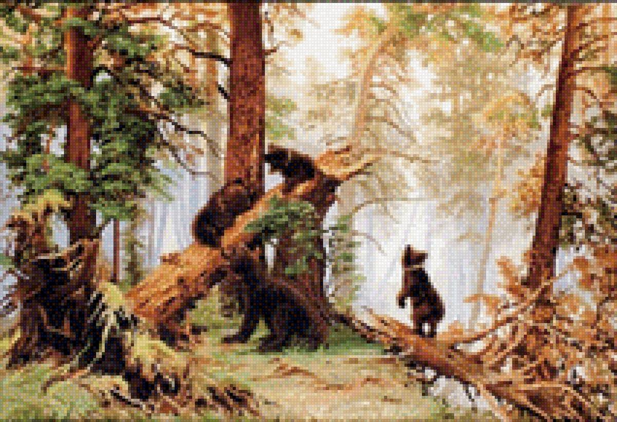 Утро в сосновом лесу - предпросмотр