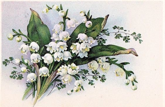 Винтажные ландыши - цветы, винтаж, ландыши - оригинал